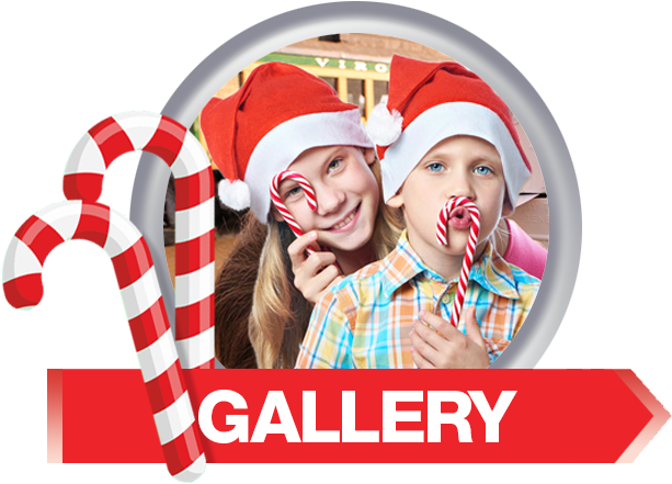 Photo - Photograph (657x571), Png Download