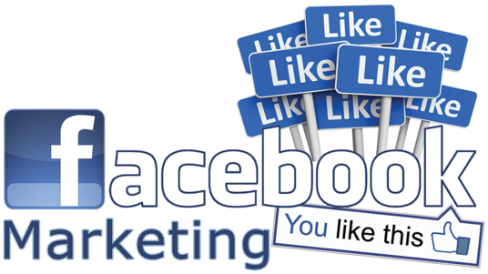 Cccccc-provide 1000 Real And Permanent Facebook Likes - Facebook Marketing Logo Png (536x301), Png Download