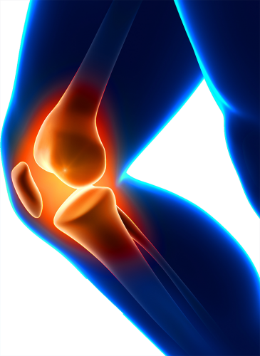 Best Choice, Dr. Recommended Knee Brace Support (365x500), Png Download