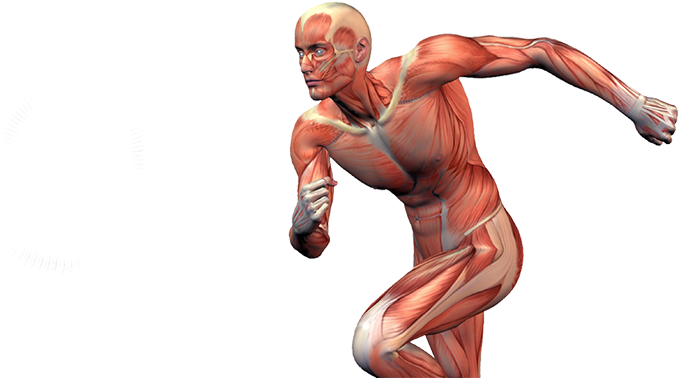 Sports Injuries - - Sports Injuries Png (940x434), Png Download