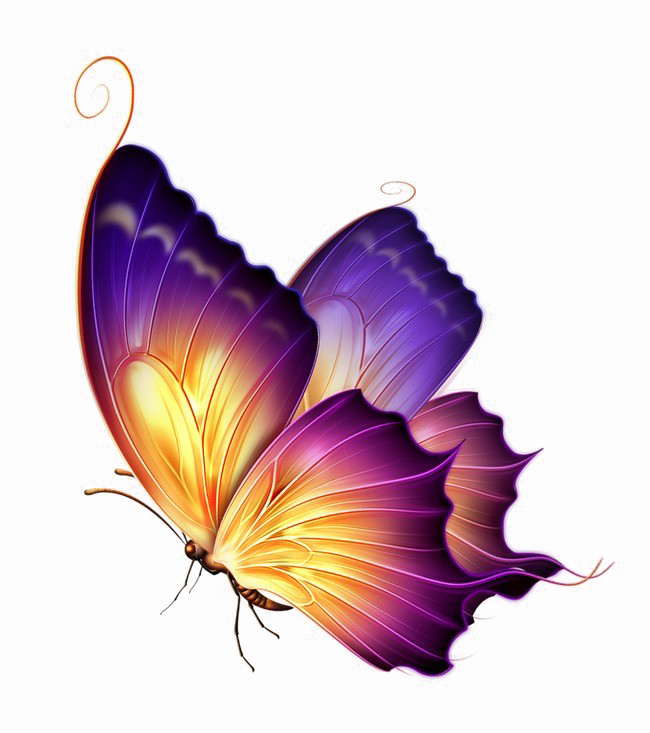 Butterfly Png Transparent Image - Purple Yellow Butterfly (650x733), Png Download