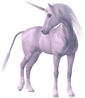 Unicorn Mythical Creatures Mane White Horn - Unicornun Kaç Boynuzu Var (453x340), Png Download