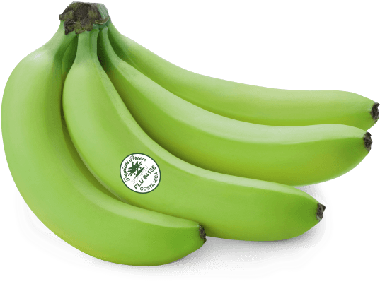 Green Banana Png - Green Banana Transparent (576x432), Png Download