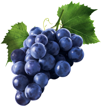 Artisans & Vines We Are Committed To Sourcing Spectacular - Metabolic Nutrition Tri-pep Grape 40/servings (517x488), Png Download