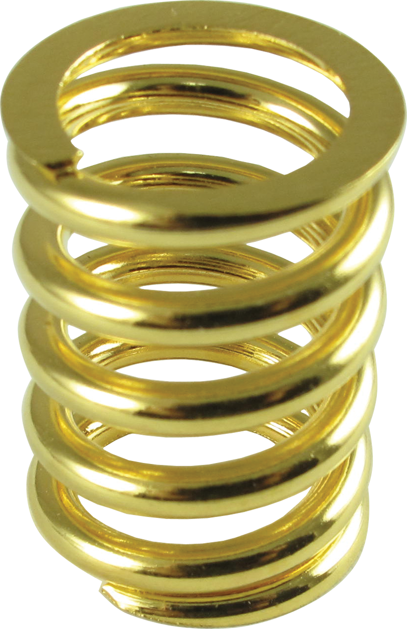 Tension Spring - Bigsby, 1" - Tension Spring - Bigsby, 1" - Gold (800x1235), Png Download