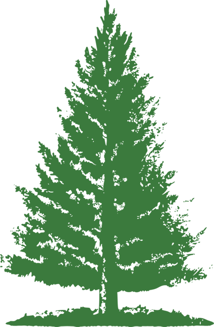 Pine Tree Png Green (424x648), Png Download