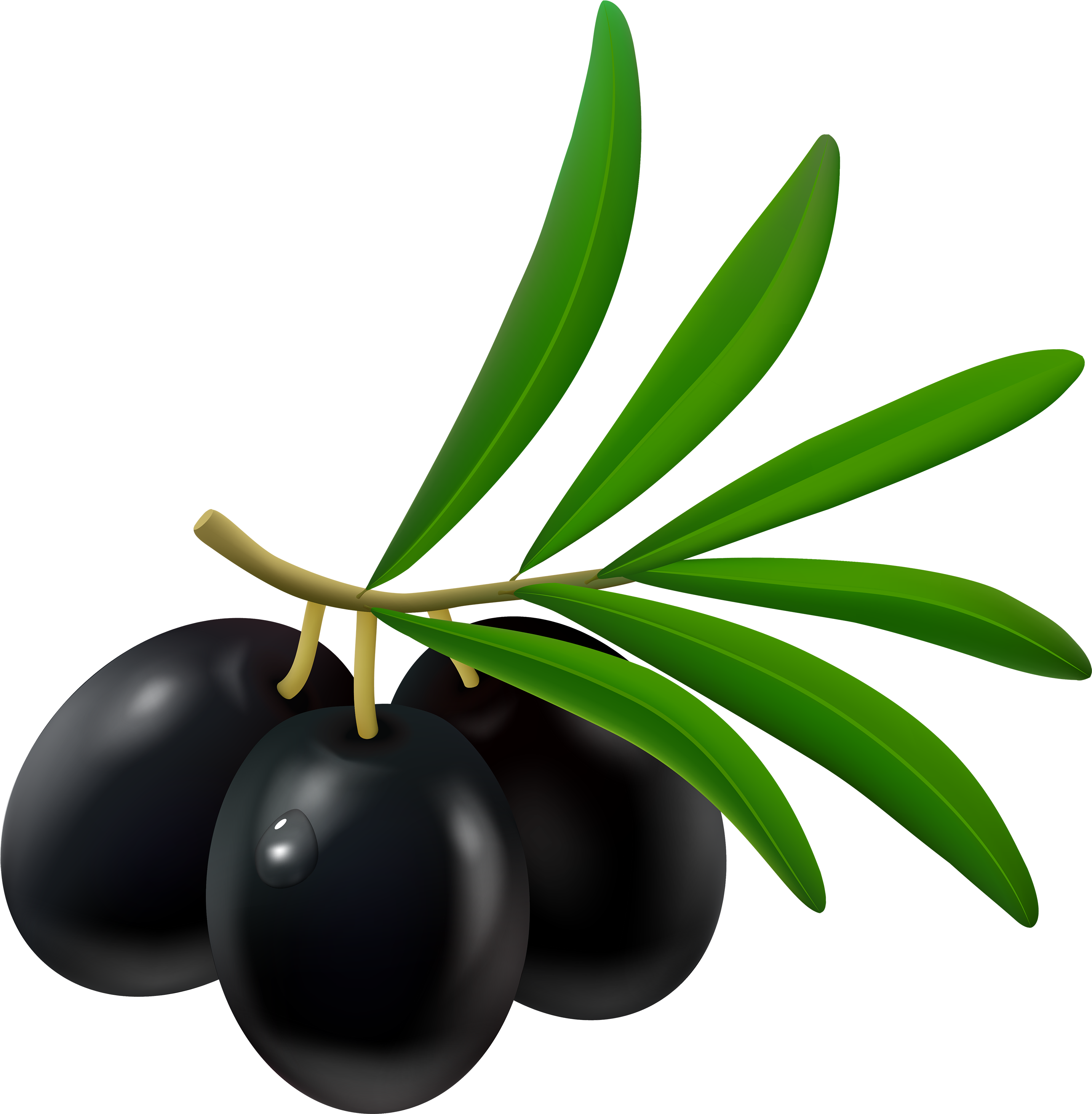 Olive Clipart Amp Look At Olive Clip Art Images - Black Olives Png (2940x3000), Png Download