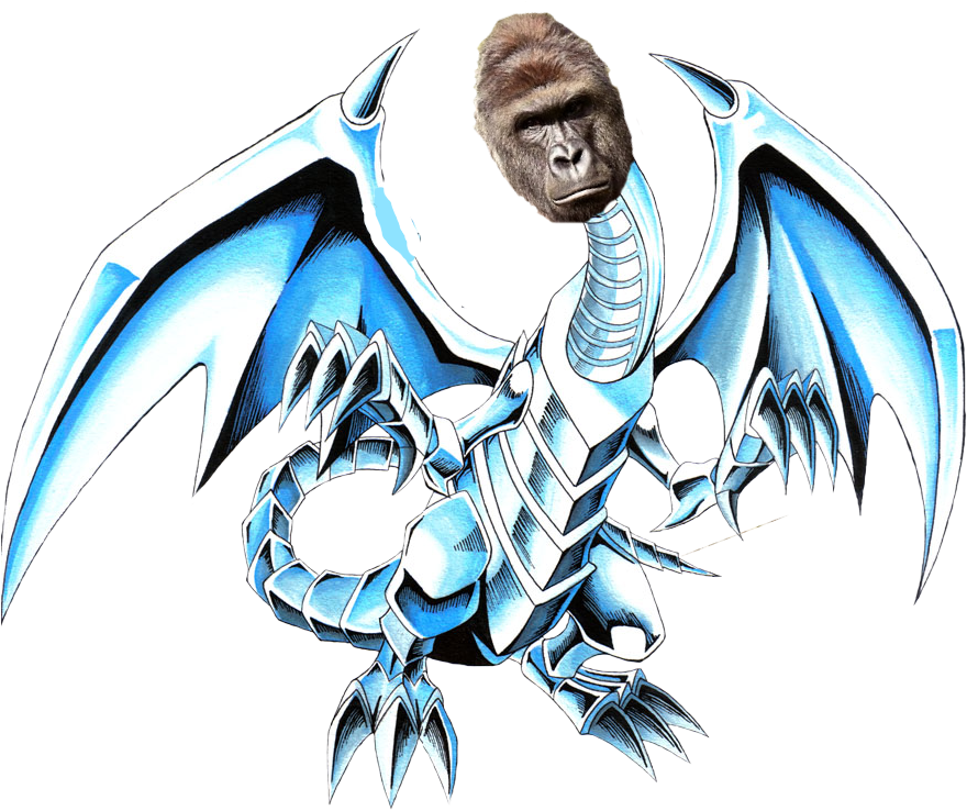 Blue Eyes White Harambe - Yugioh Blue Eyes White Dragon Drawing (892x738), Png Download