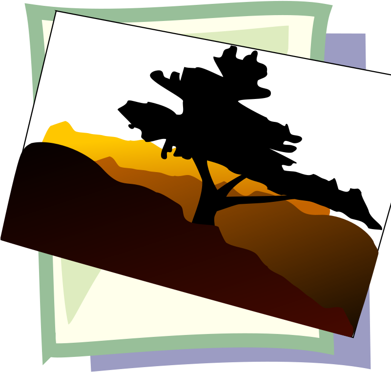 Bonsai Tree Clip Art (800x800), Png Download