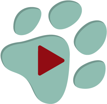 Paw Print Fundraising Software Review Video Play Button - Software (500x500), Png Download