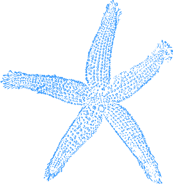 Clip Art At Clker Com Vector Online - Blue Starfish Clip Art (564x599), Png Download