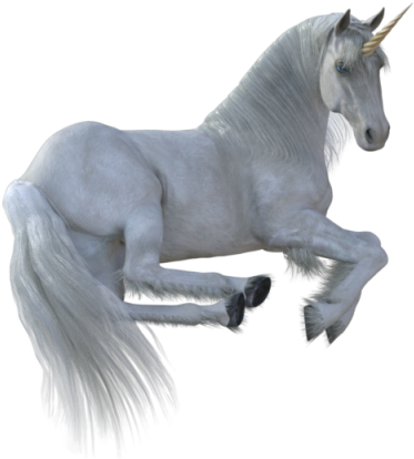 Unicorn Animal Png, Vectors, Psd, And Clipart For Free - Horse (640x640), Png Download