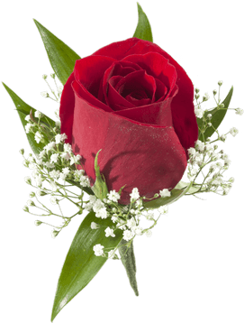 Red Rose Boutonniere - Colonial House Of Flowers (500x611), Png Download