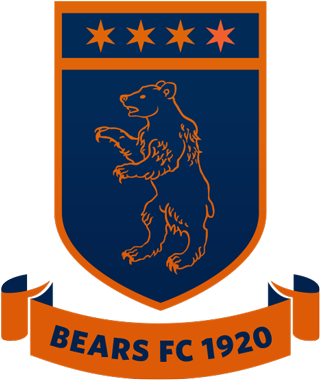 Chicago Bears Redesign - Chicago Bears Soccer Logo (320x380), Png Download