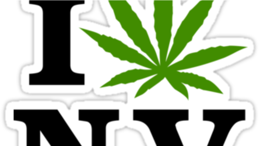 5 Things You Need To Know About Weed In Vegas - Washington Weed (960x480), Png Download
