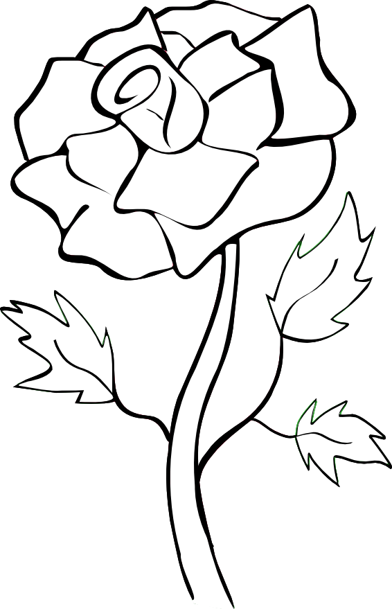 White Roses Clip Art - White Silhouette Flower Png (566x879), Png Download