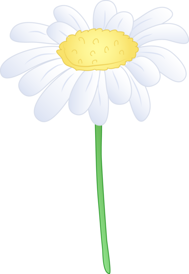 Download Background Clipart Daisy Common Daisy Full Size Png Image Pngkit