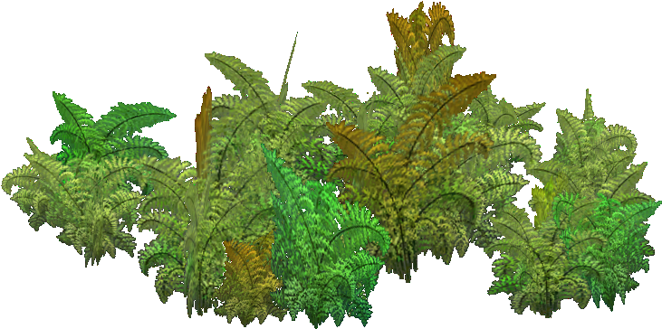 Royal Fern - Wiki (730x730), Png Download