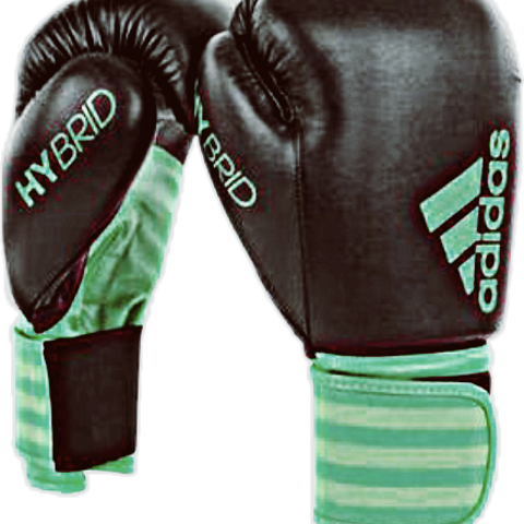Adidas Hybrid 100 Boxing Gloves - Green Size: 10oz (480x480), Png Download
