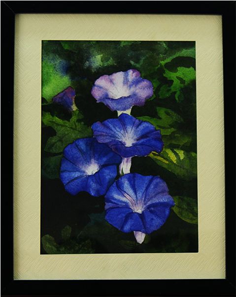 Copyright © 2018 Modi Embroidery House - Morning Glory (800x600), Png Download