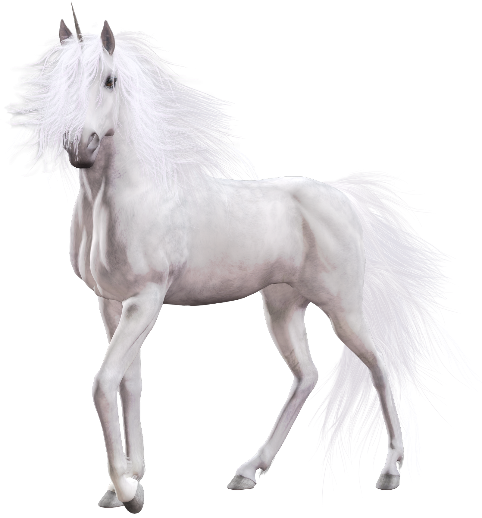 Unicorn White Horse (1750x1750), Png Download