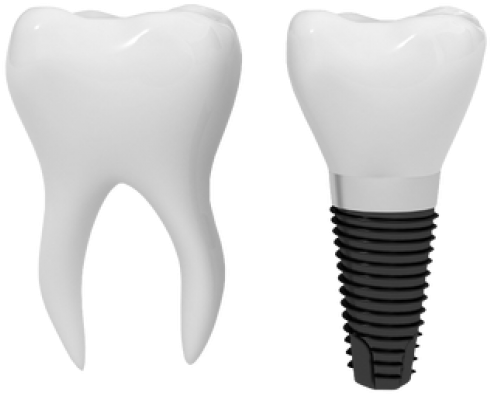 Teeth Png Free Download - Teeth Png (600x449), Png Download