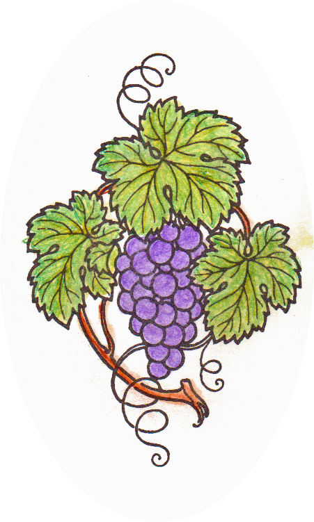 This Is Colored With Watercolor - Grape (451x751), Png Download