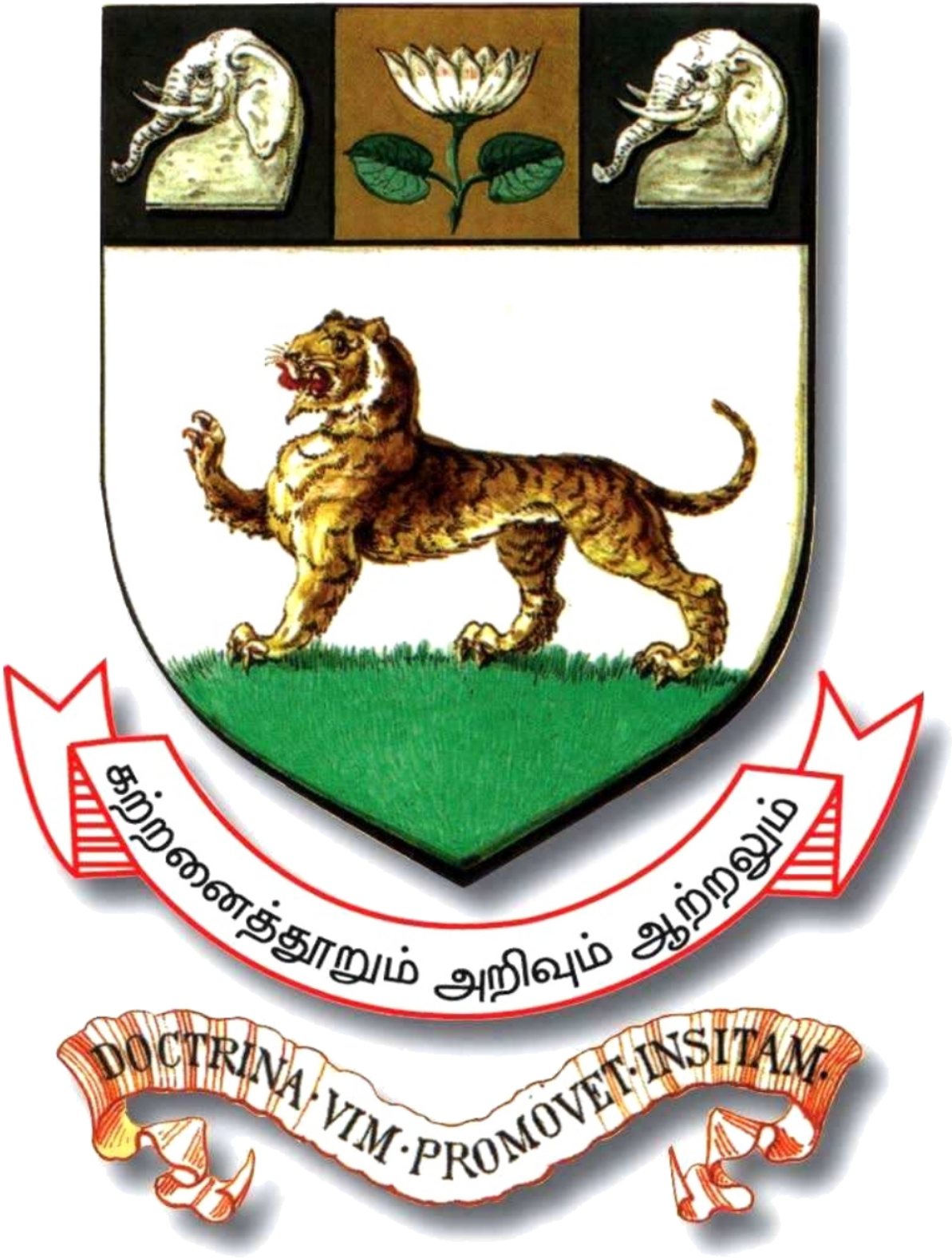 University Of Madras Emblem (1200x1584), Png Download