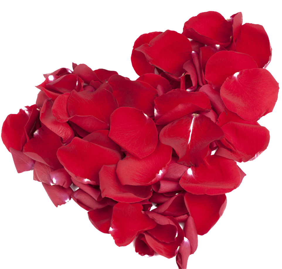 This Graphics Is Rose Petals Red Love Design About - Corazon Petalos De Rosa Png (1024x947), Png Download