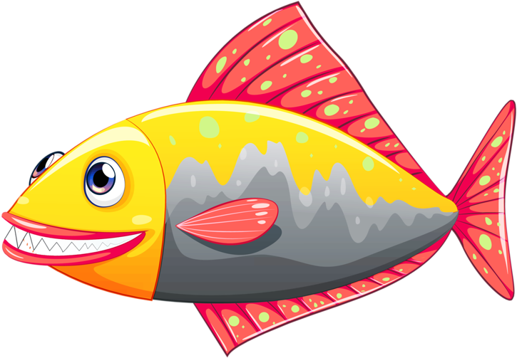 Goldfish Clipart Ish - Peces Dibujo Coloreados (800x529), Png Download
