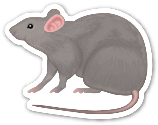 Rat - Rat Emoji Sticker (537x428), Png Download