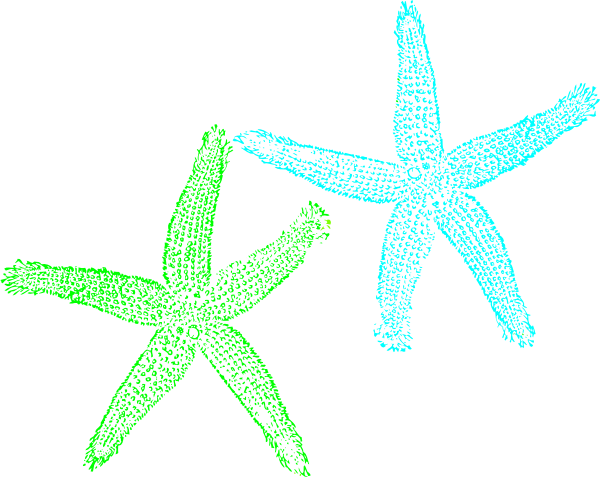 Turquoise And Lime Green Starfish Png Svg Clip Art (600x477), Png Download