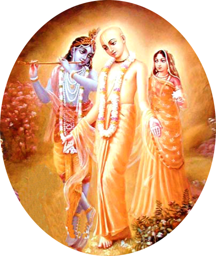 Steeped In The Memories Of Radha-krishna - Chaitanya Mahaprabhu With Krishna (444x527), Png Download