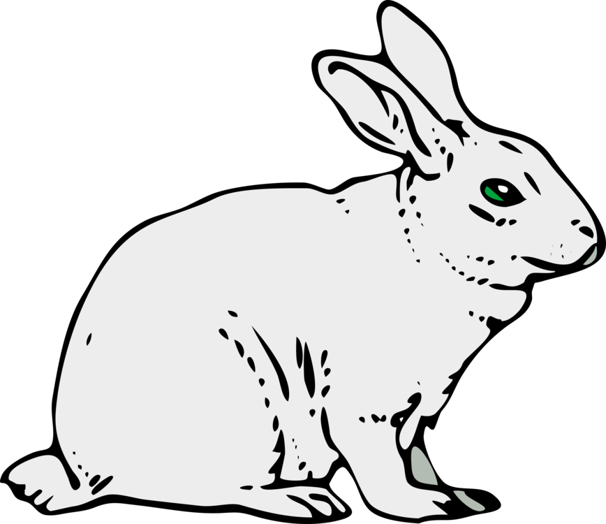 How To Set Use Gray Rabbit Svg Vector (600x519), Png Download