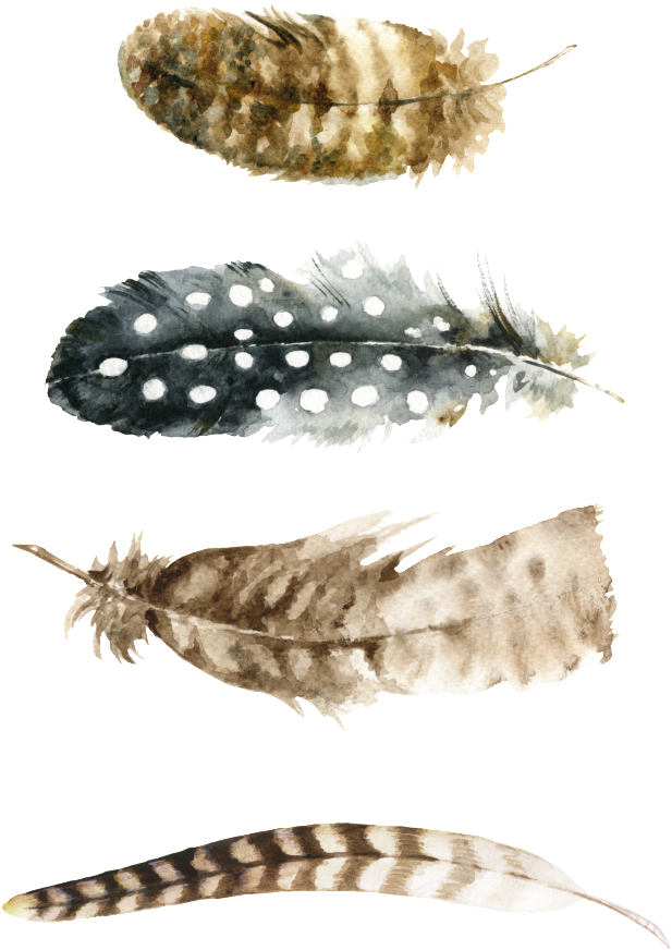 File Shared From Box - Laminas Imprimibles Plumas (819x1024), Png Download