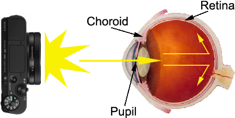 How People Get Red Eyes - Sony Dscrx100m5 Digital Still Camera (500x250), Png Download