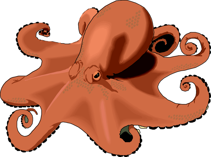 Octopus Png Transparent Free Images - Octopus Clip Arts Transparent (675x502), Png Download