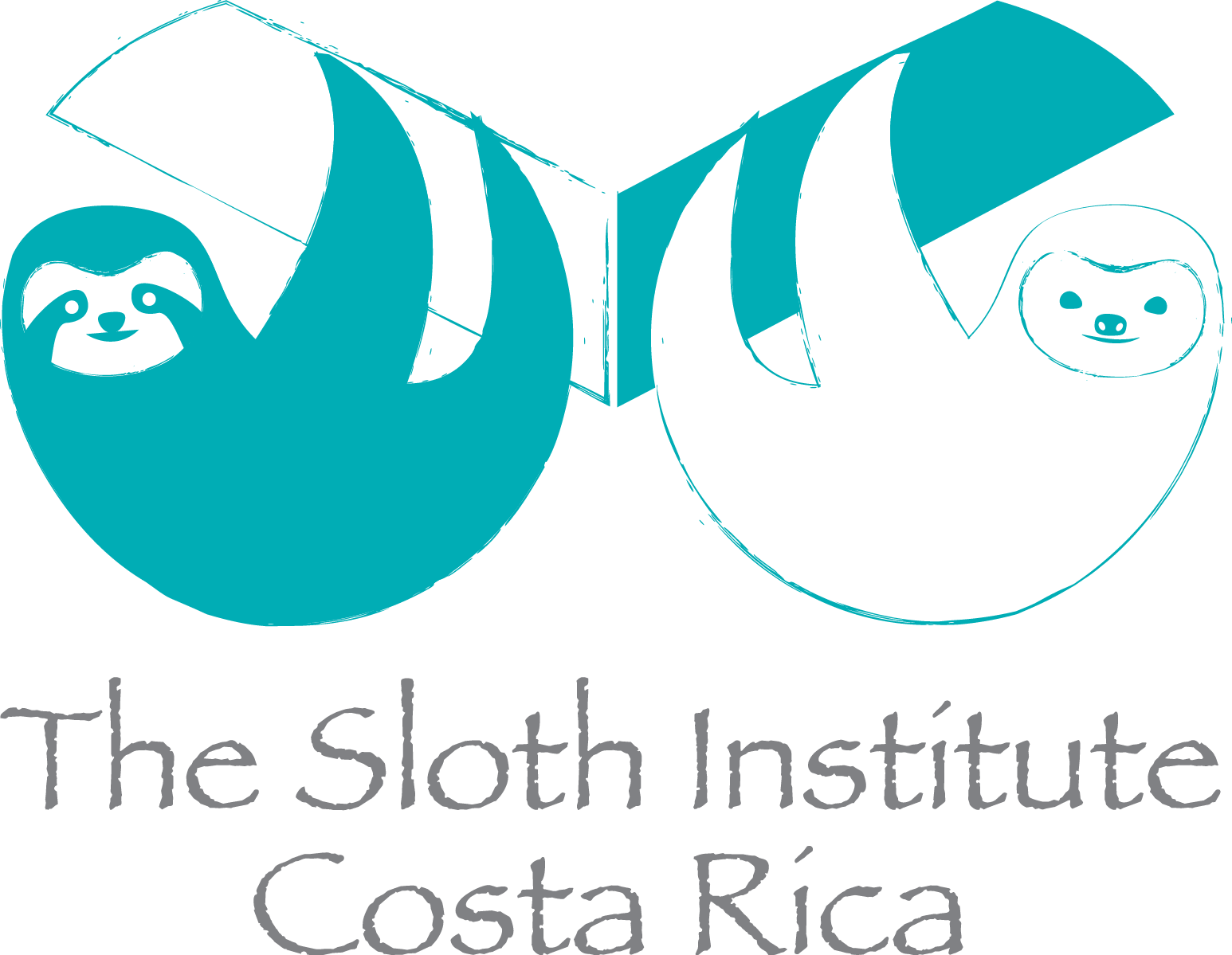 Sloth Clipart Costa Rica - Eucharist: The Body Of Christ (1546x1199), Png Download