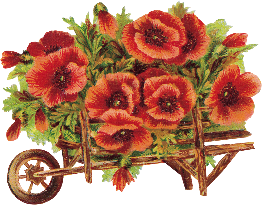 Flores Png - Thank You A Lot (1200x900), Png Download
