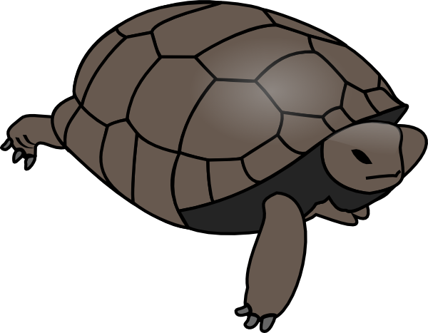 Swimming Turtle Png Images (600x467), Png Download