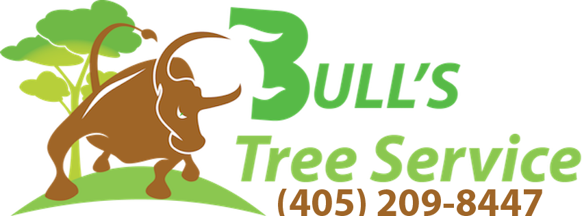 Tree Service Oklahoma City - Oklahoma (850x316), Png Download