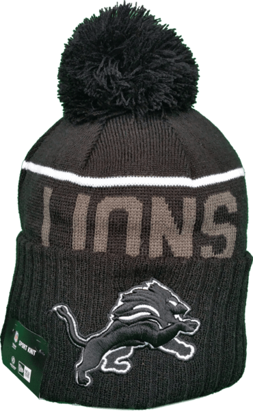Detroit Lions (370x600), Png Download