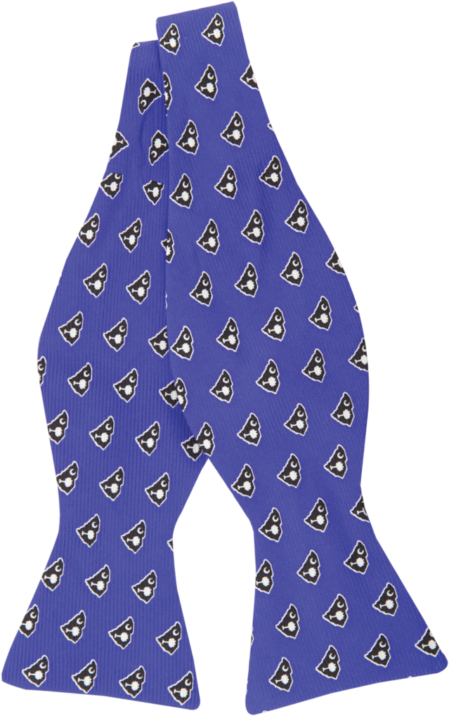 South Carolina Traditional Bow Tie Blue With Navy - Necktie (1024x1024), Png Download