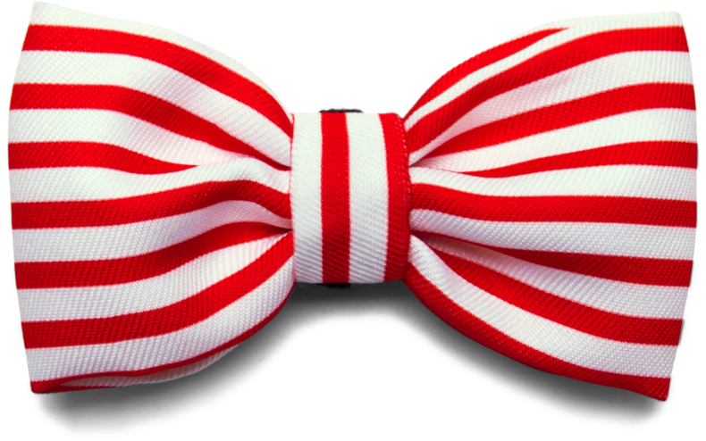 Bali The Dog Zeedog Cadillac Bow Tie For Those James - Transparent Flag Bow Tie (1023x702), Png Download