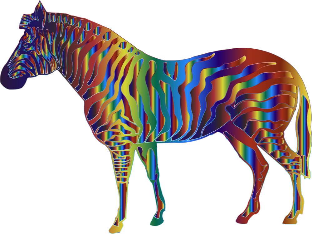 Quagga Mane Horses Zebra - Horse (1000x750), Png Download