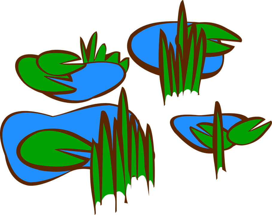Lily Pad Clipart Simple - Marsh Clip Art (909x720), Png Download