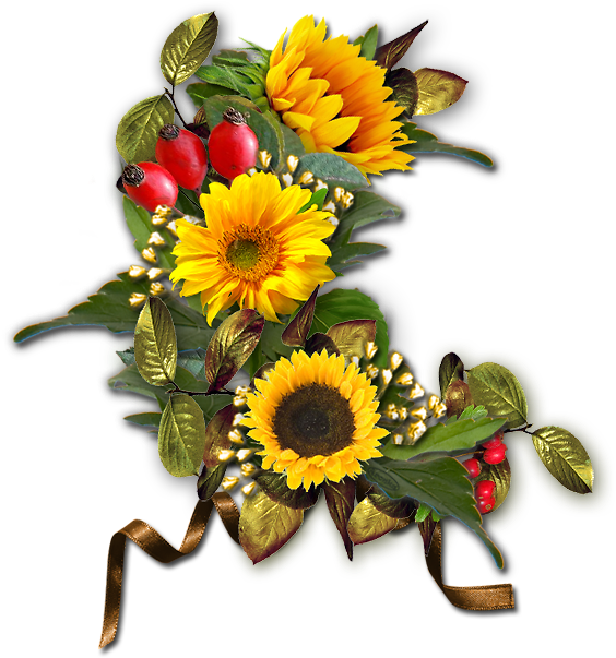 Flowers, Tube, Flowers, Png - Sunflower Photography (597x650), Png Download