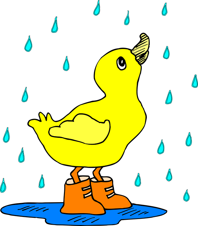 Having Some Rain Can Greatly Effect Your Day - Ducky In The Rain (631x720), Png Download