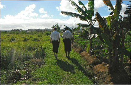 The Church Of Jesus Christ Of Latter-day Saints In (433x281), Png Download