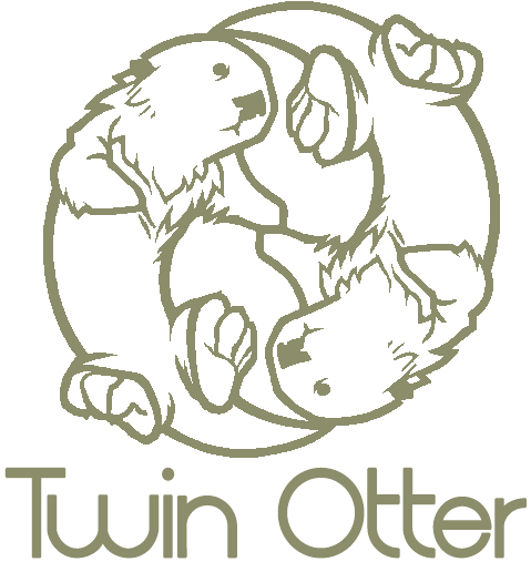 I've Been Working On Video Games Since I Was 11, When - Twin Otter Logo (502x541), Png Download